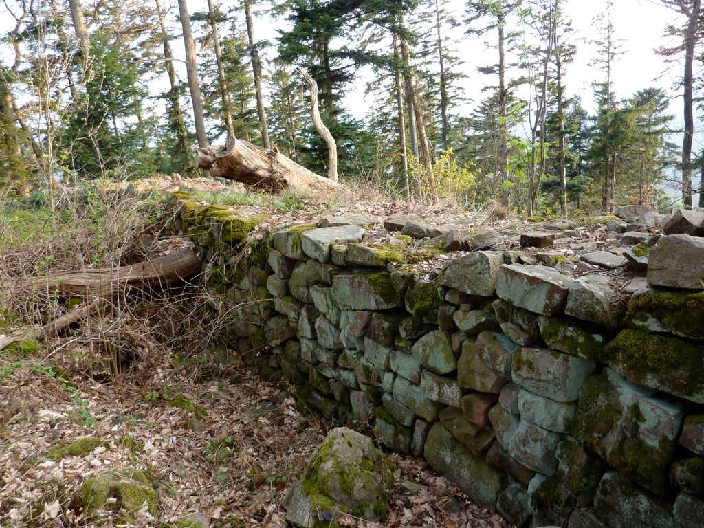 Photo №2 of Petit Ringelsberg