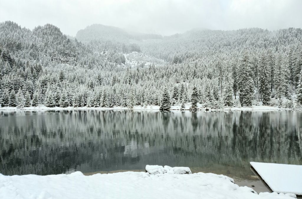 Photo №4 of Frauensee