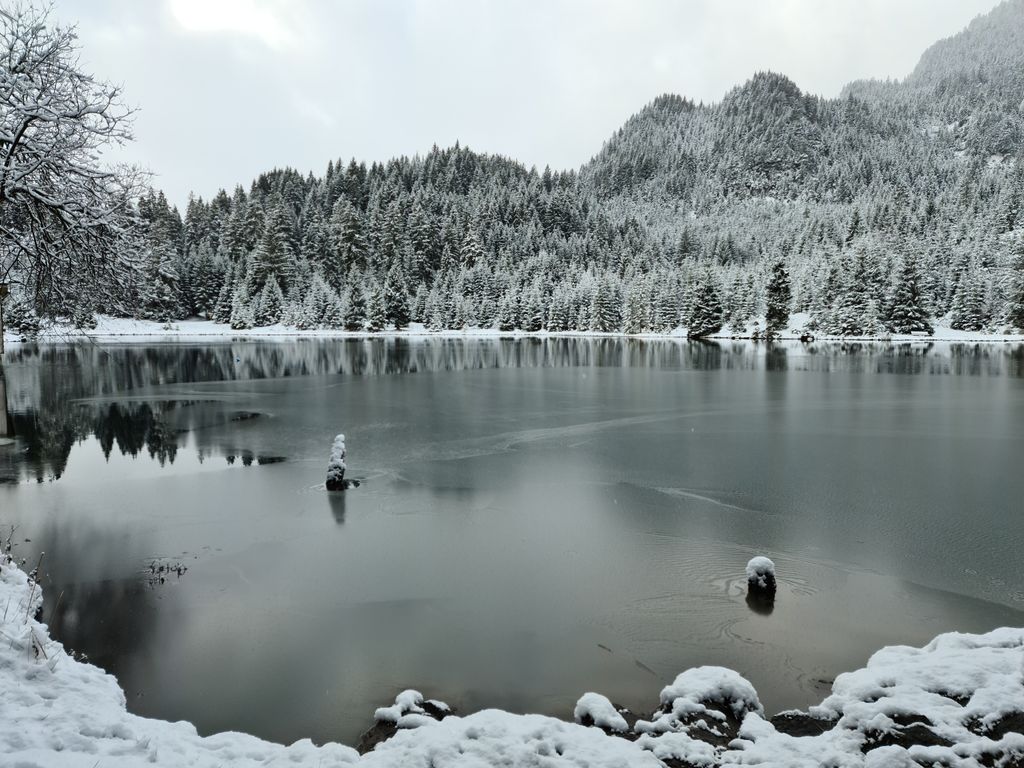 Photo №3 of Frauensee