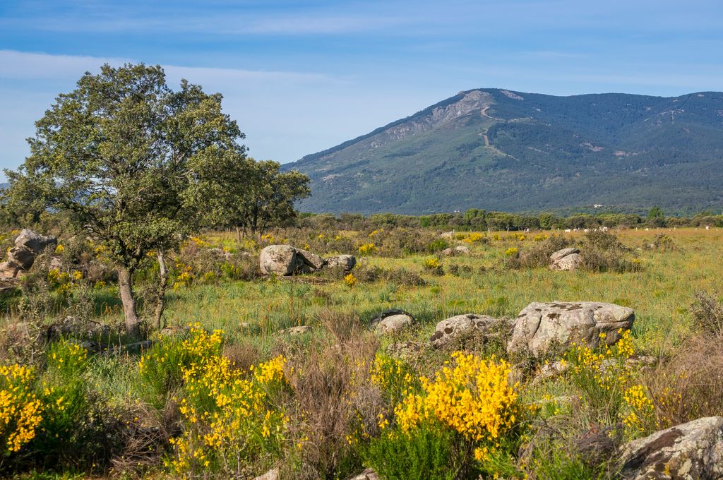 Photo №2 of Abantos