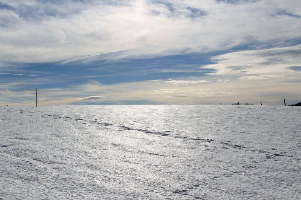 Photo №6 of Fruitieres de Nyon