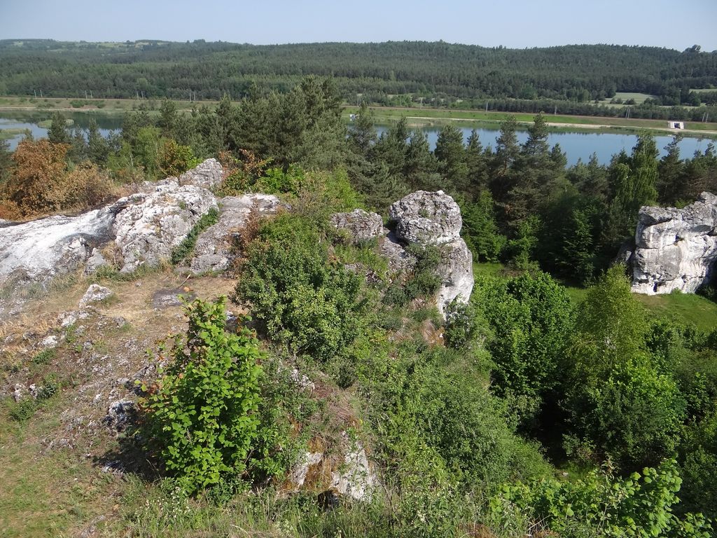 Słupska
