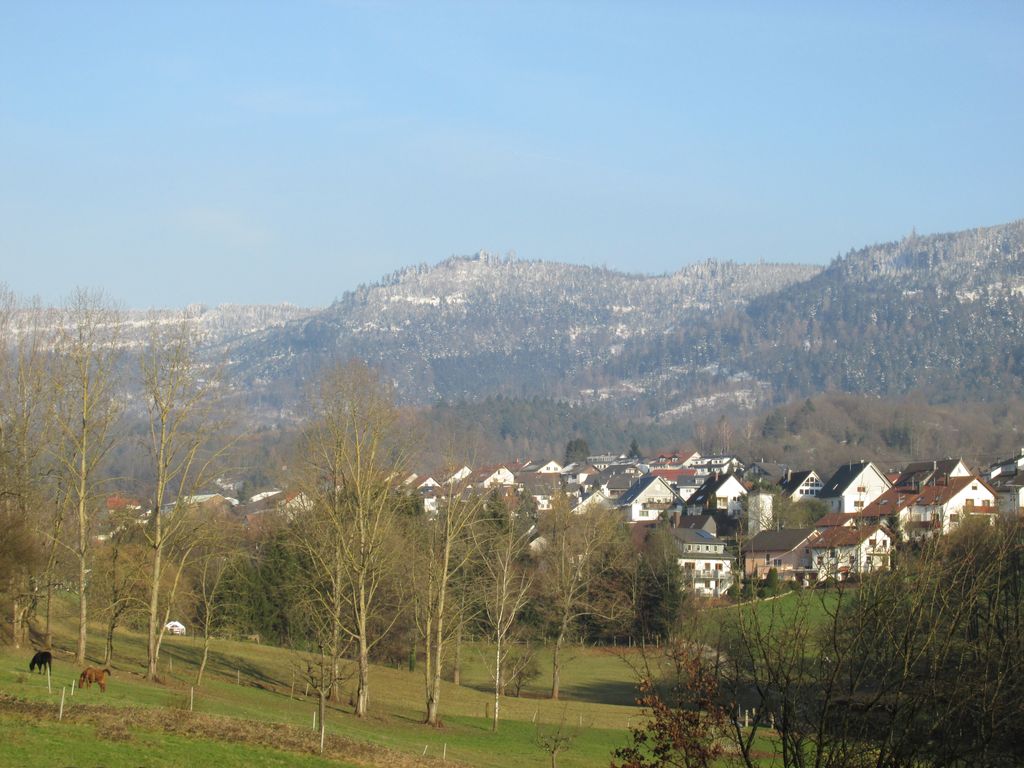 Photo №10 of Bernstein