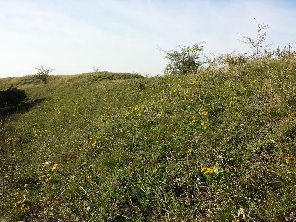 Photo №5 of Dernberg