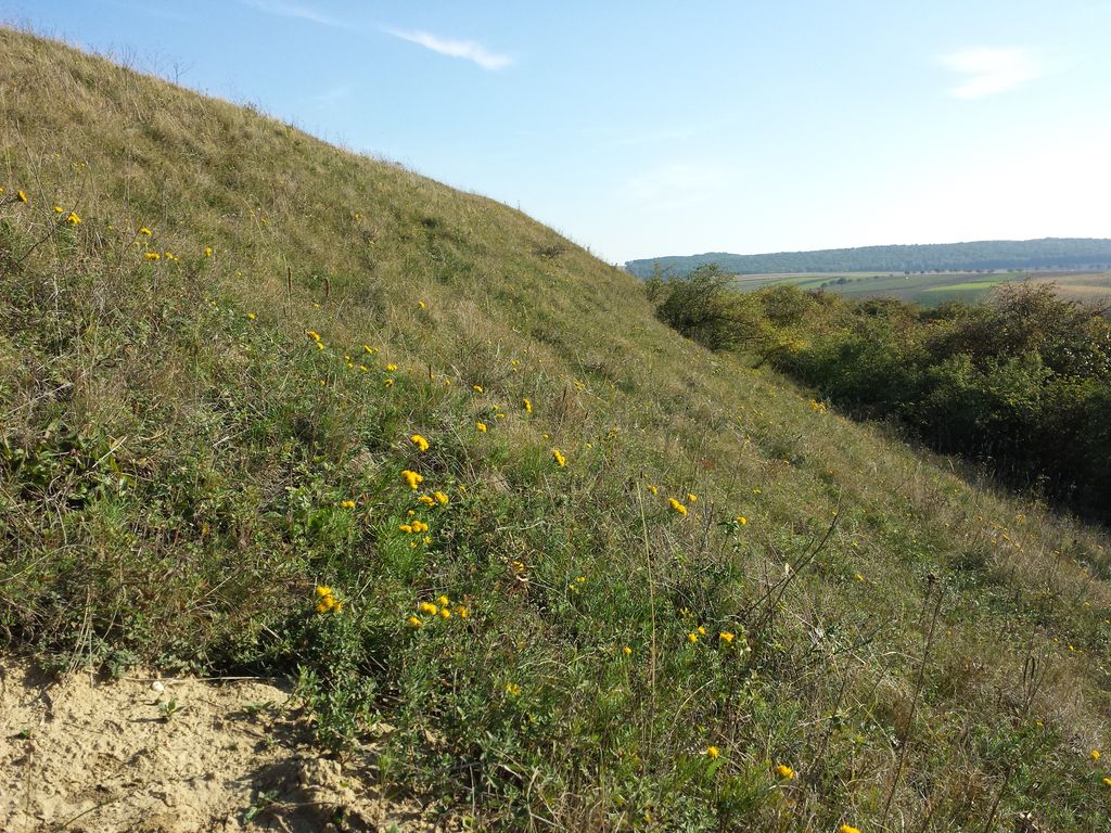 Photo №7 of Dernberg