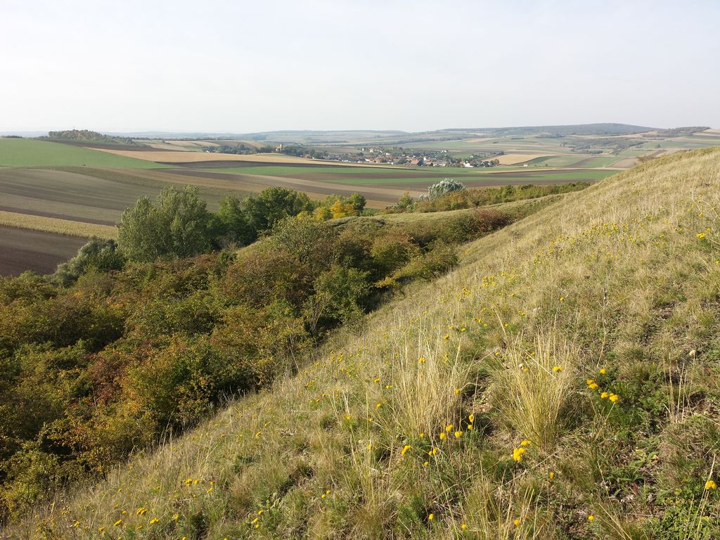 Photo №6 of Dernberg