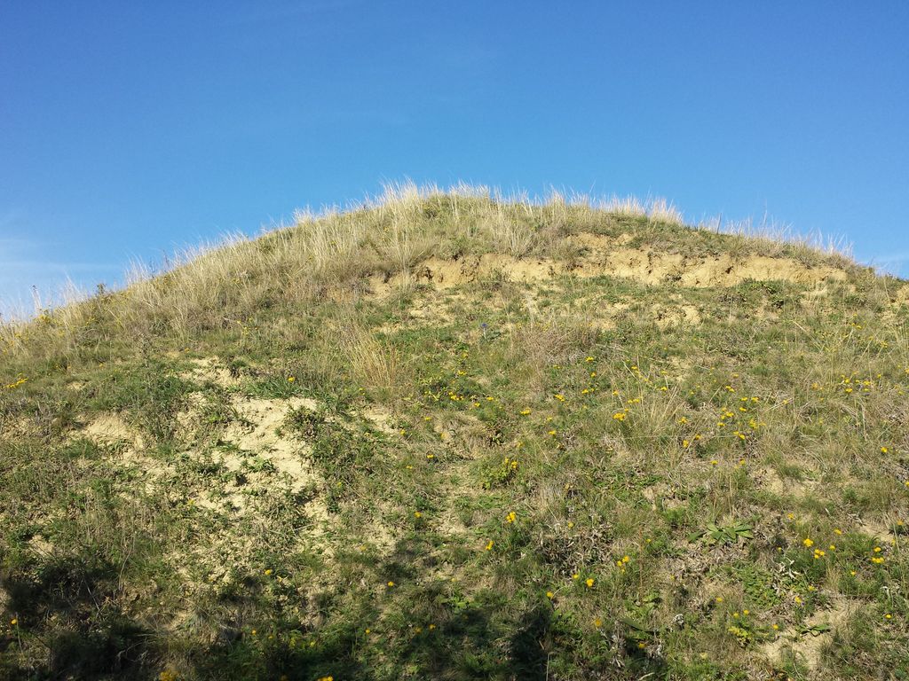 Photo №8 of Dernberg