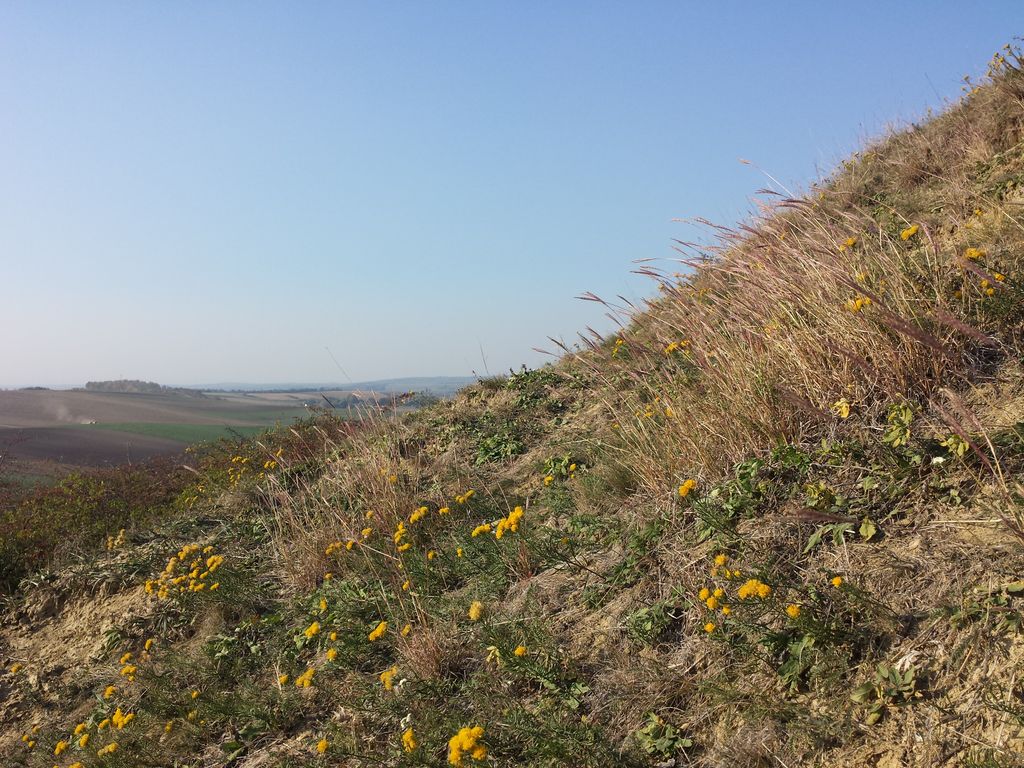 Photo №9 of Dernberg
