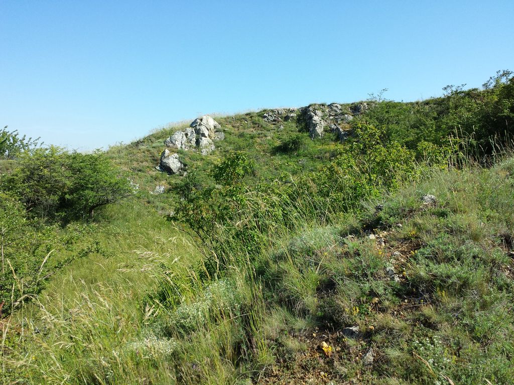 Photo №3 of Galgenberg