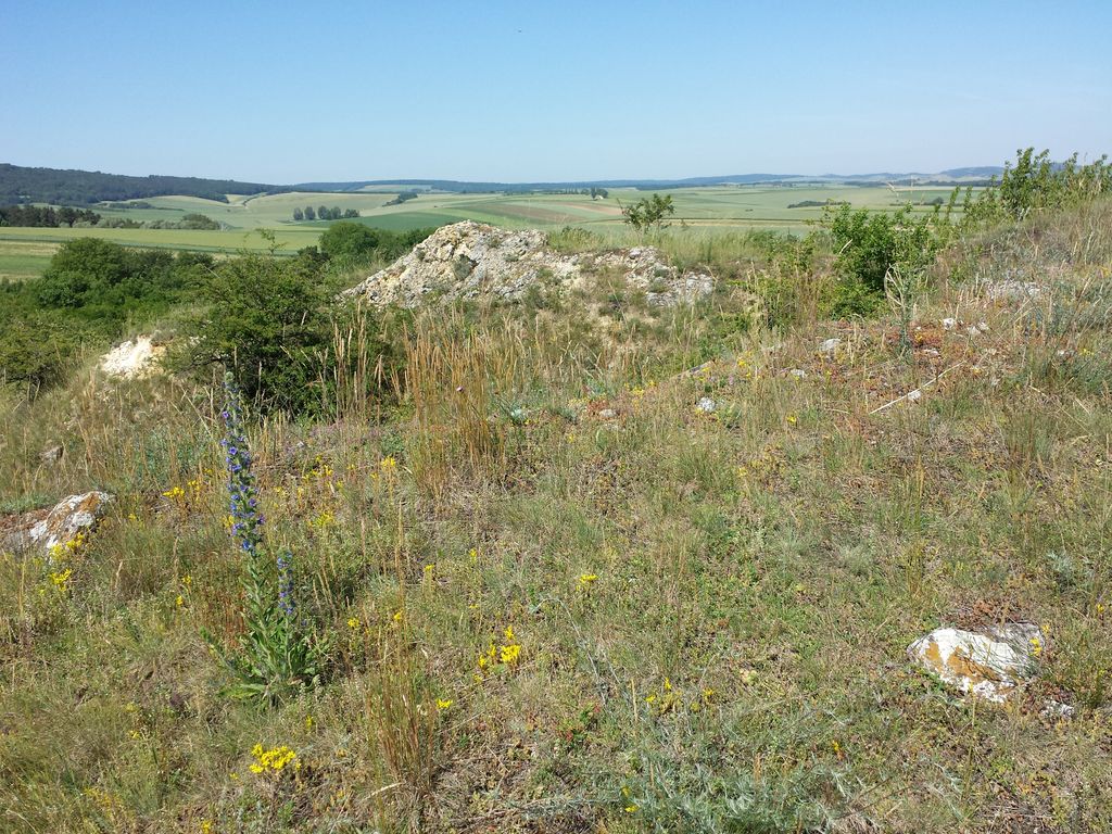 Photo №6 of Galgenberg