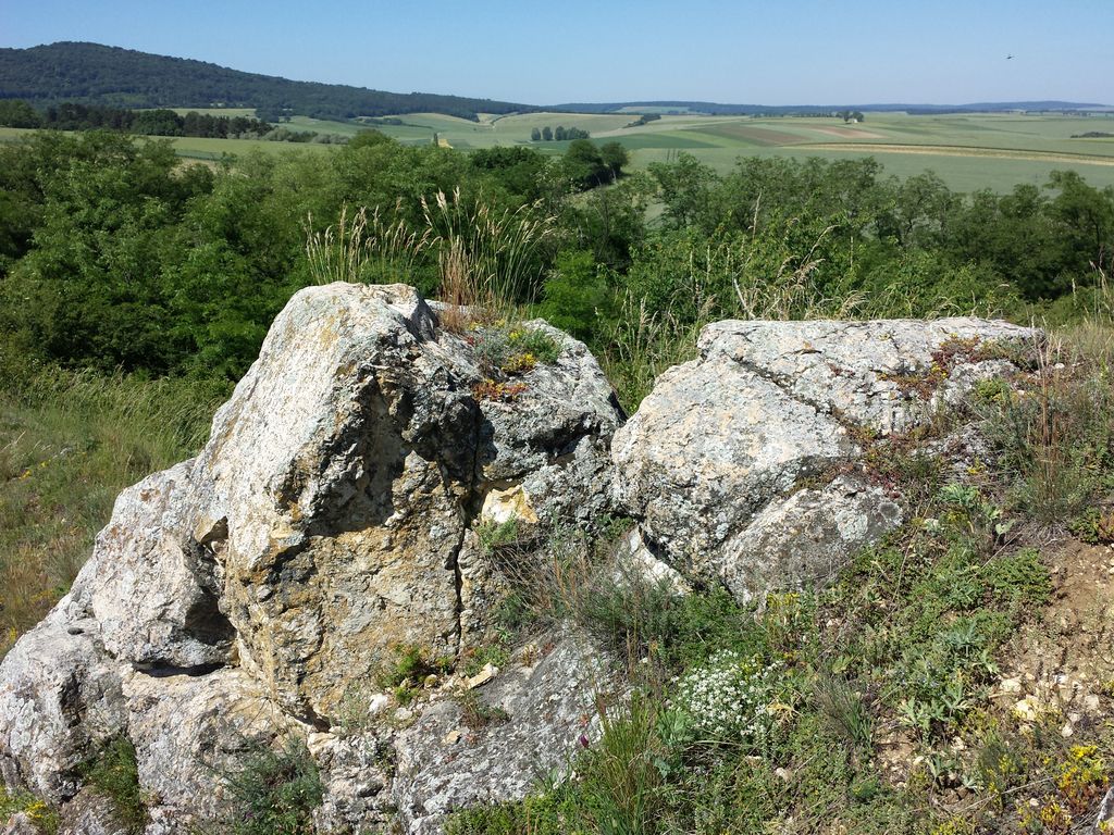 Photo №9 of Galgenberg