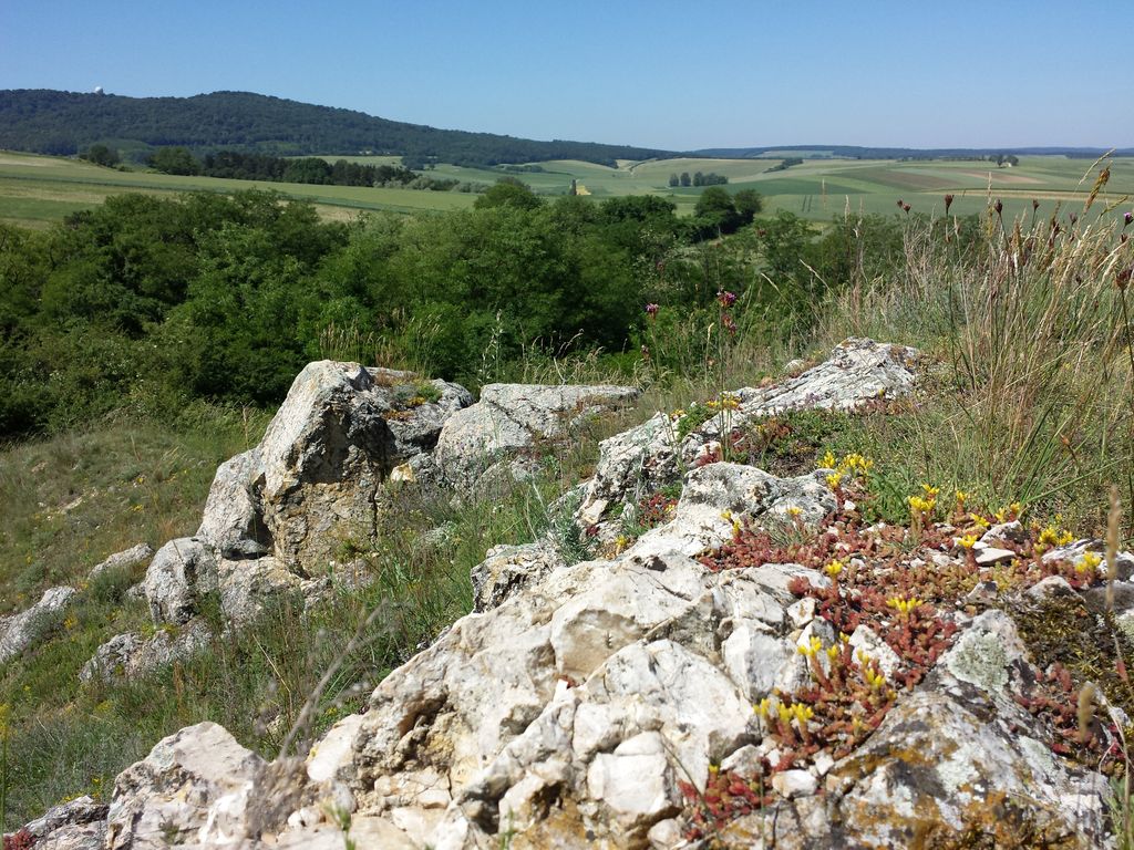 Photo №7 of Galgenberg