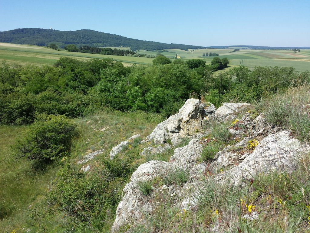 Photo №8 of Galgenberg