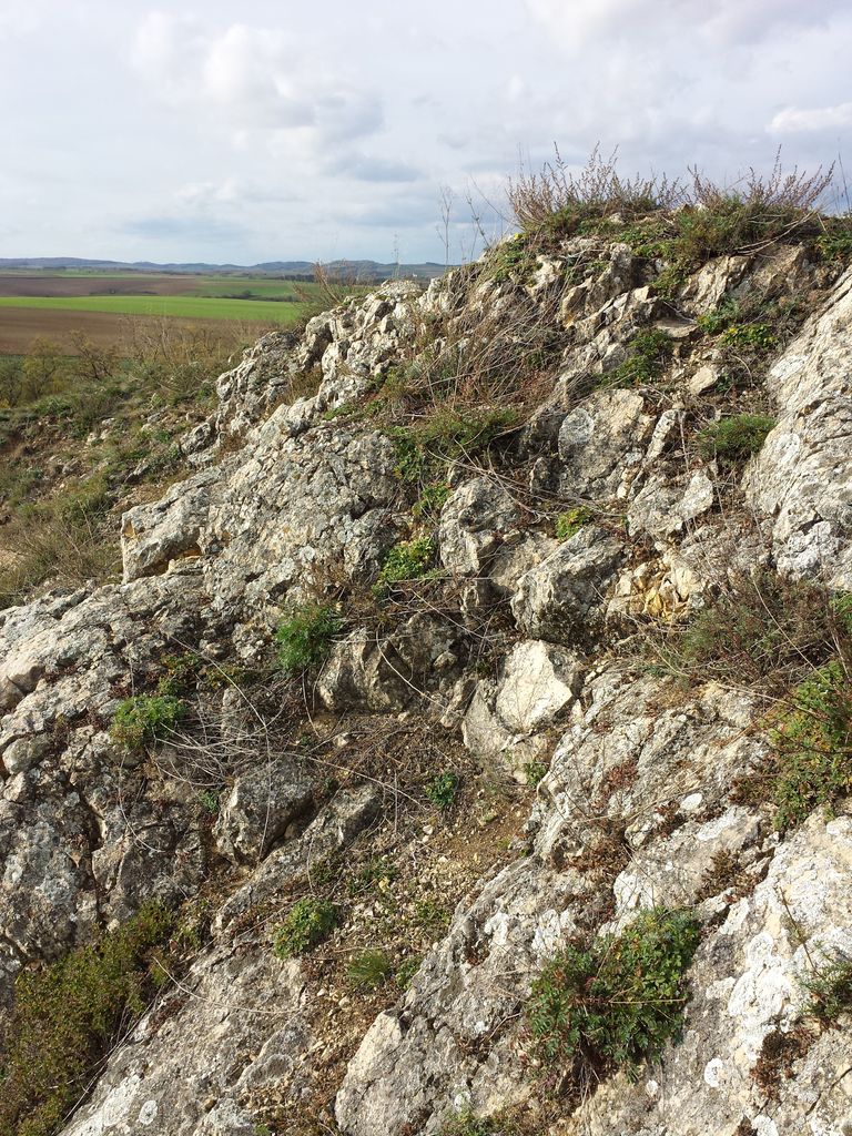 Photo №10 of Galgenberg