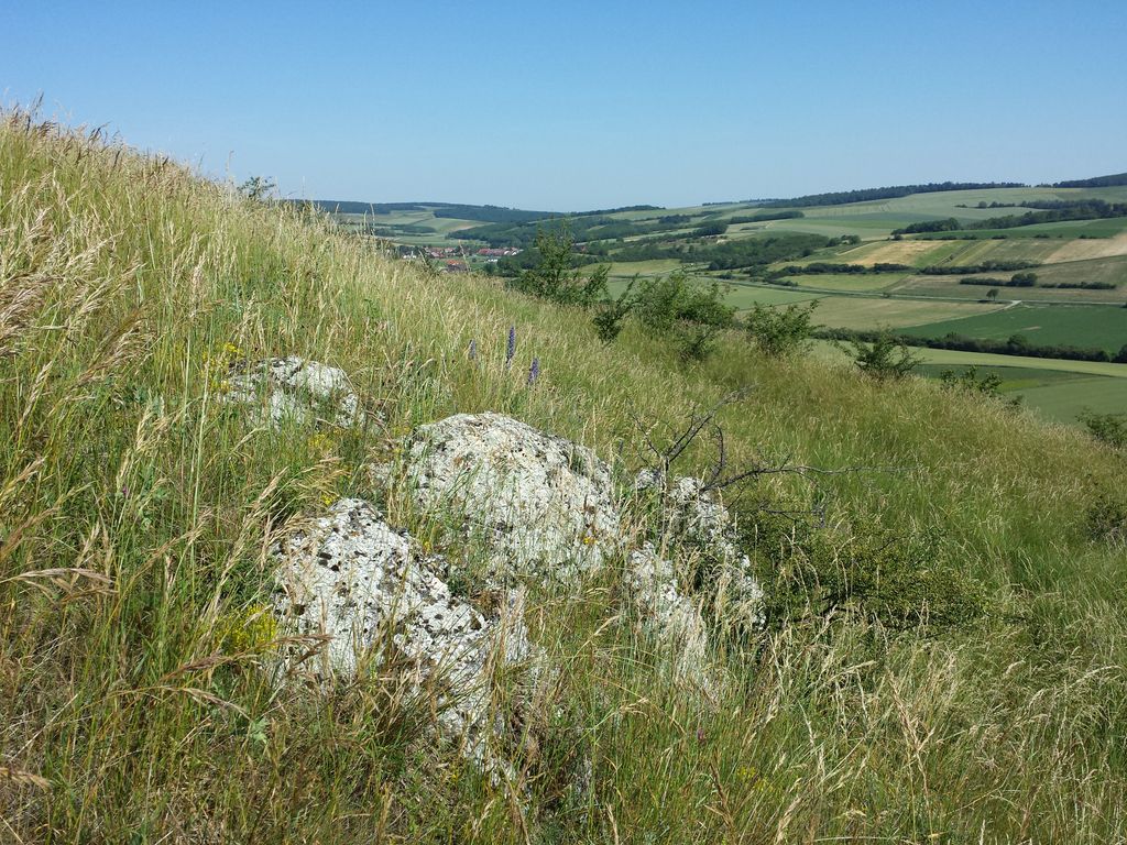 Photo №2 of Galgenberg
