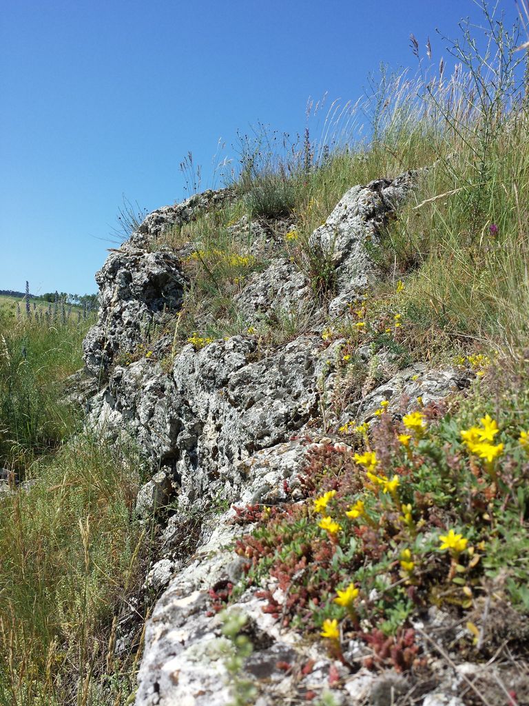 Photo №4 of Galgenberg
