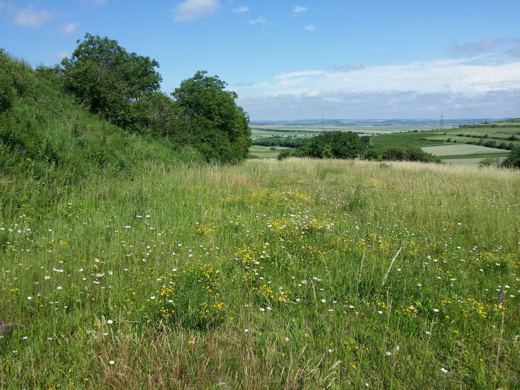 Photo №4 of Galgenberg