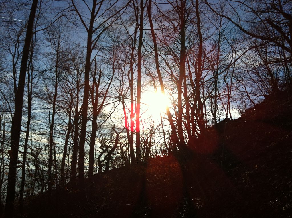 Photo №3 of Geissflue