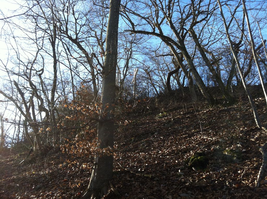 Photo №4 of Geissflue