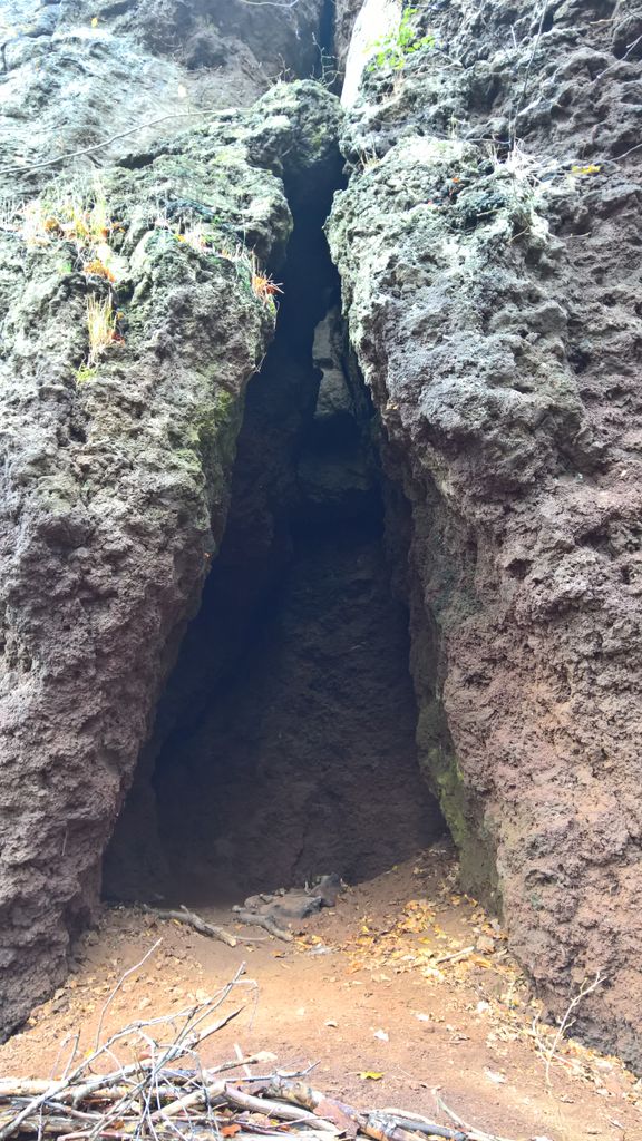 Photo №2 of Falkenlay