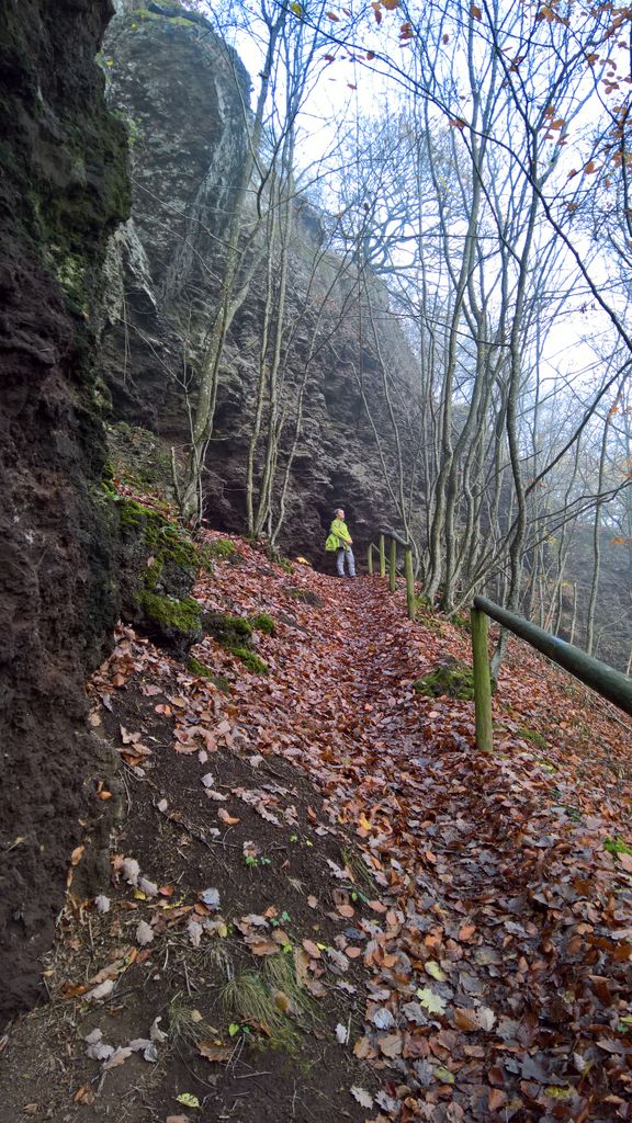 Photo №3 of Falkenlay