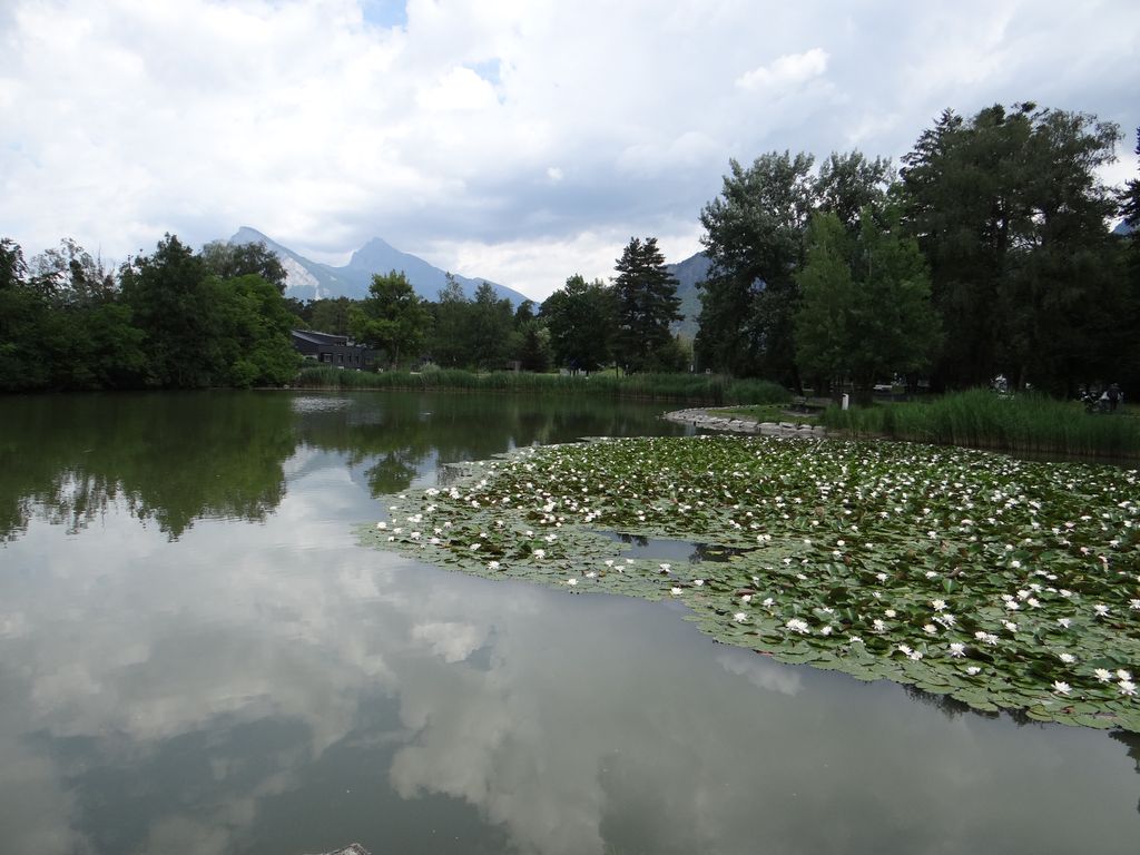 Photo №2 of Giessenparksee