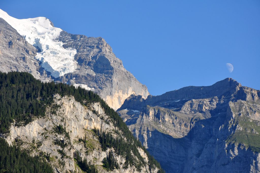 Photo №2 of Schwarzmönch