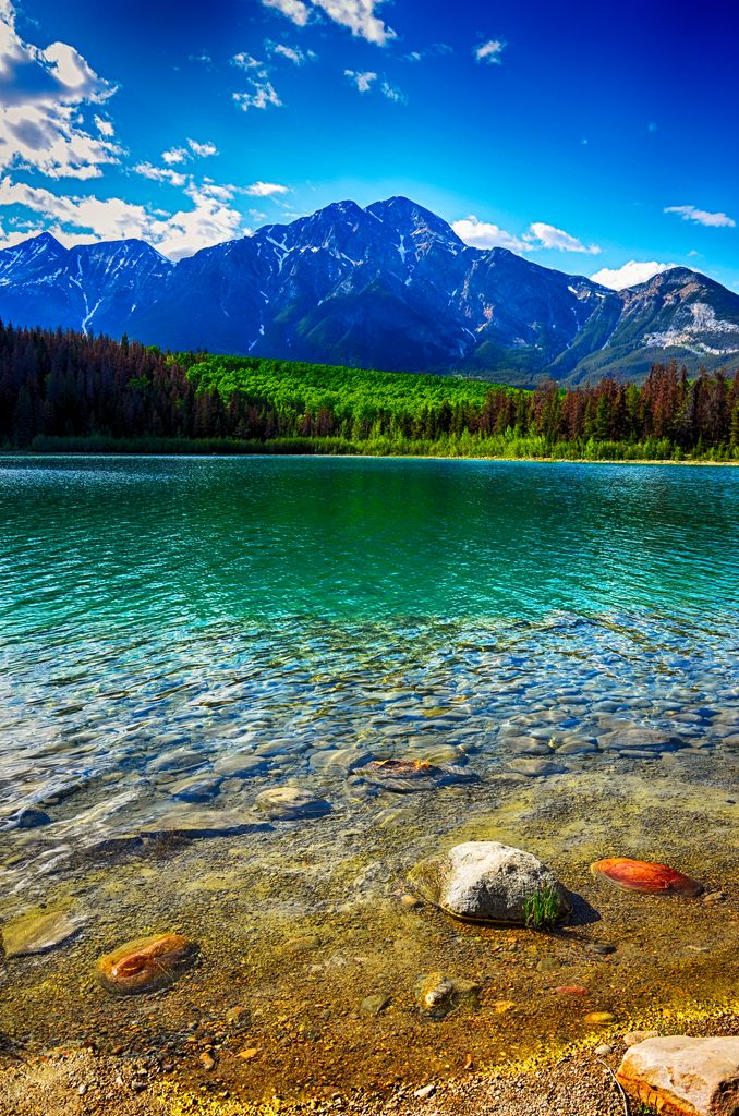 Photo №3 of Patricia Lake