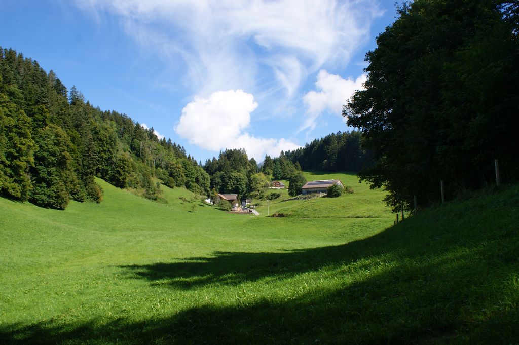 Photo №5 of Kapf