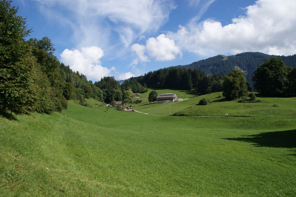 Photo №4 of Kapf