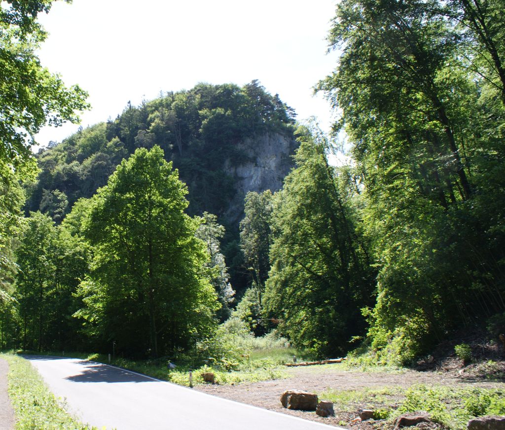 Photo №2 of Therenberg