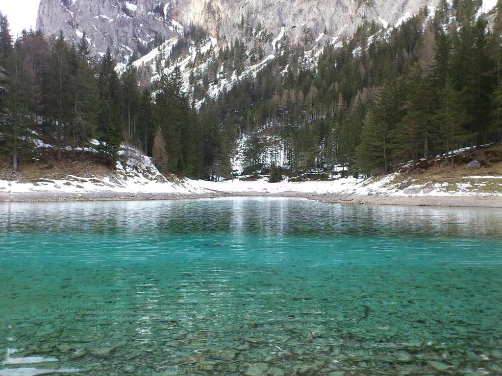 Photo №8 of Grüner See