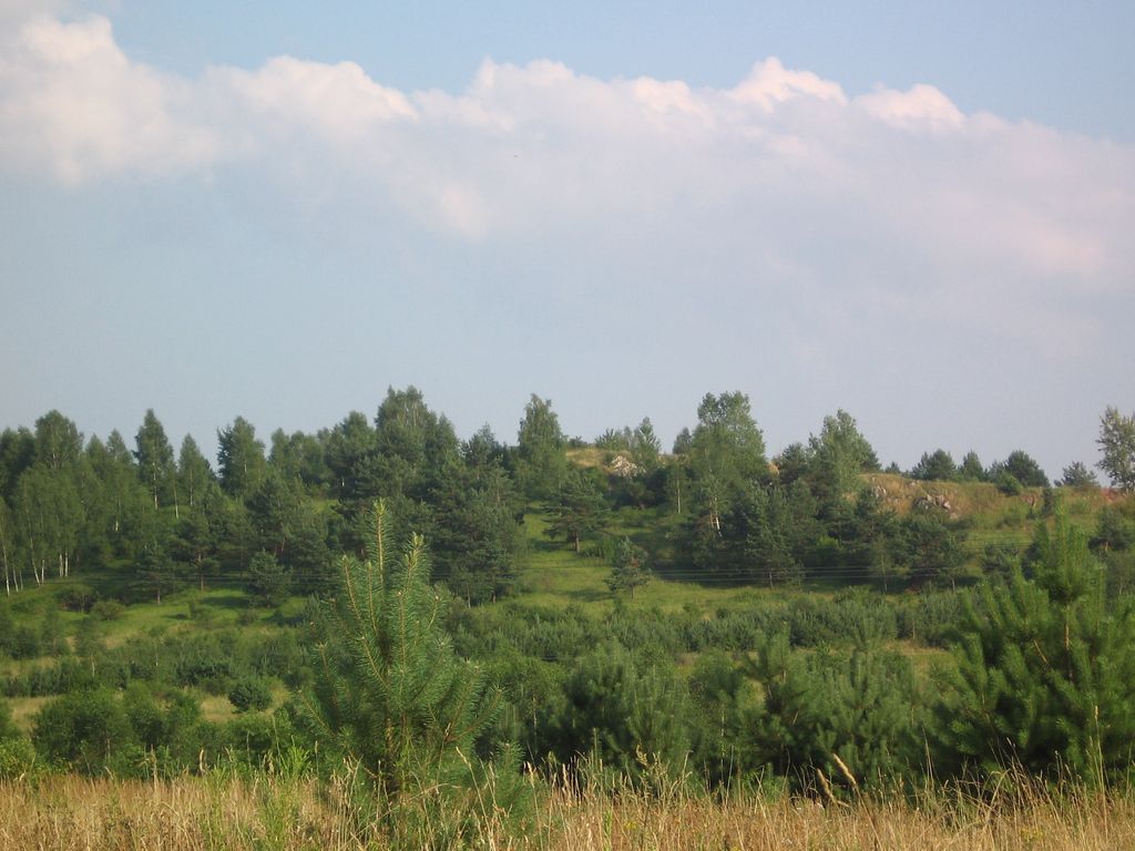 Photo №2 of Grabina