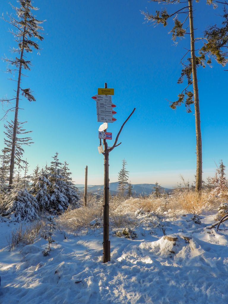 Photo №2 of Grabowa