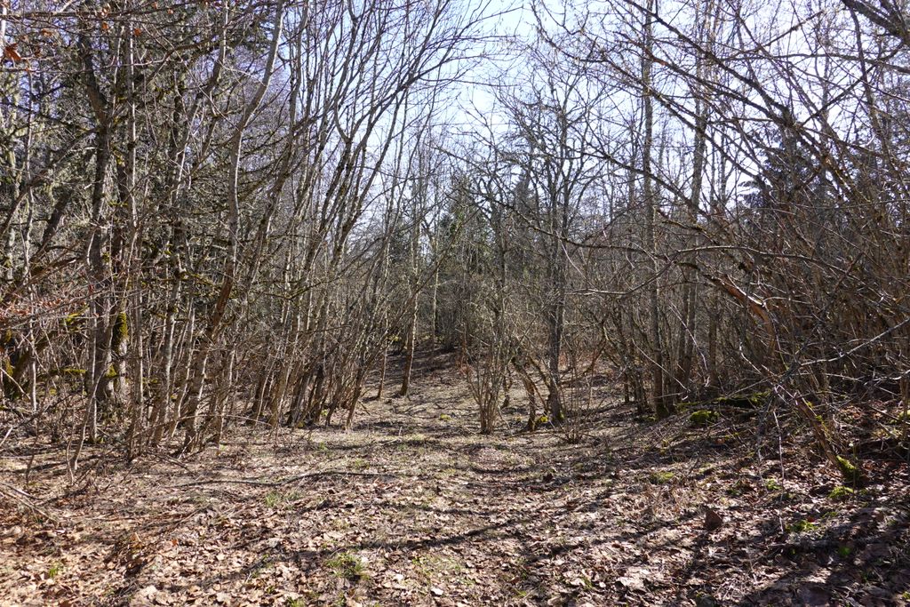 Photo №3 of Grand Château