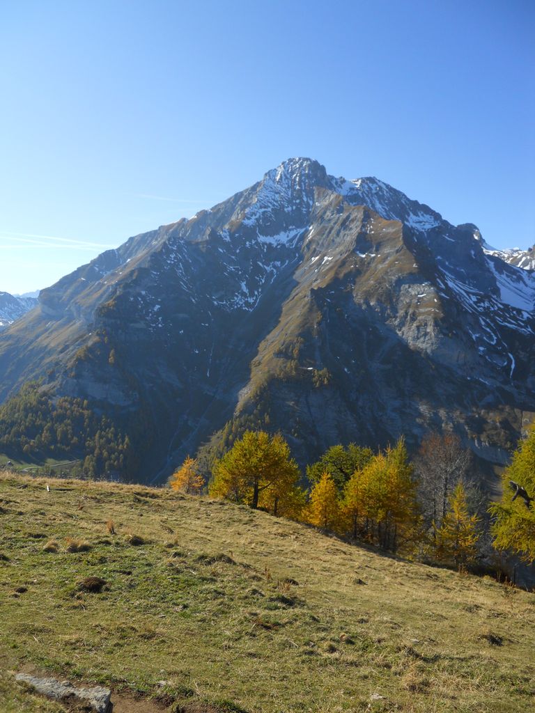 Photo №2 of Grand Garde