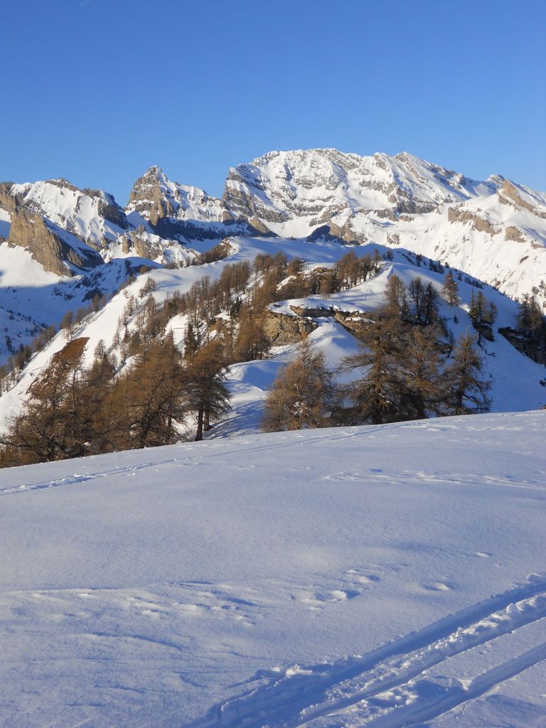 Photo №5 of Grand Garde