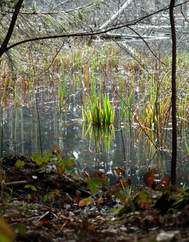 Photo №2 of Eichberg