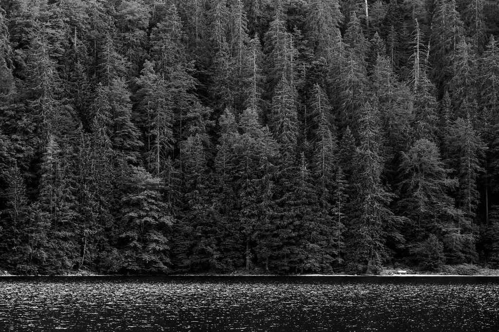 Feldsee