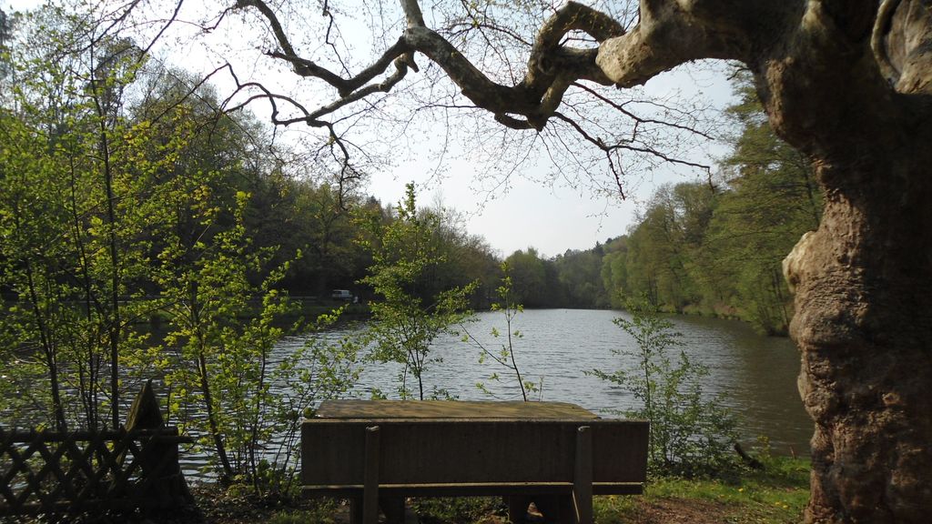 Griesweiher