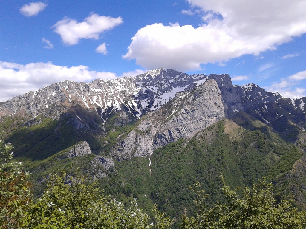 Photo №4 of Zucco Sileggio