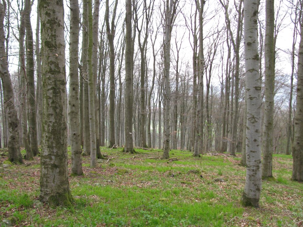 Photo №2 of Großer Auskopf