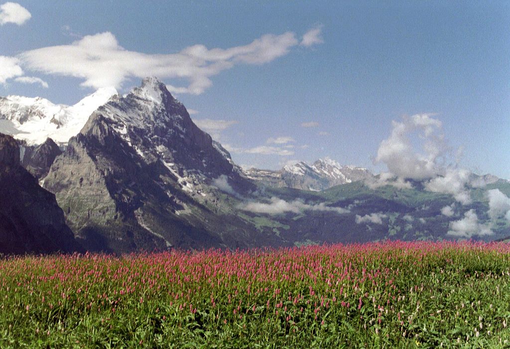 Photo №3 of Grosse Scheidegg