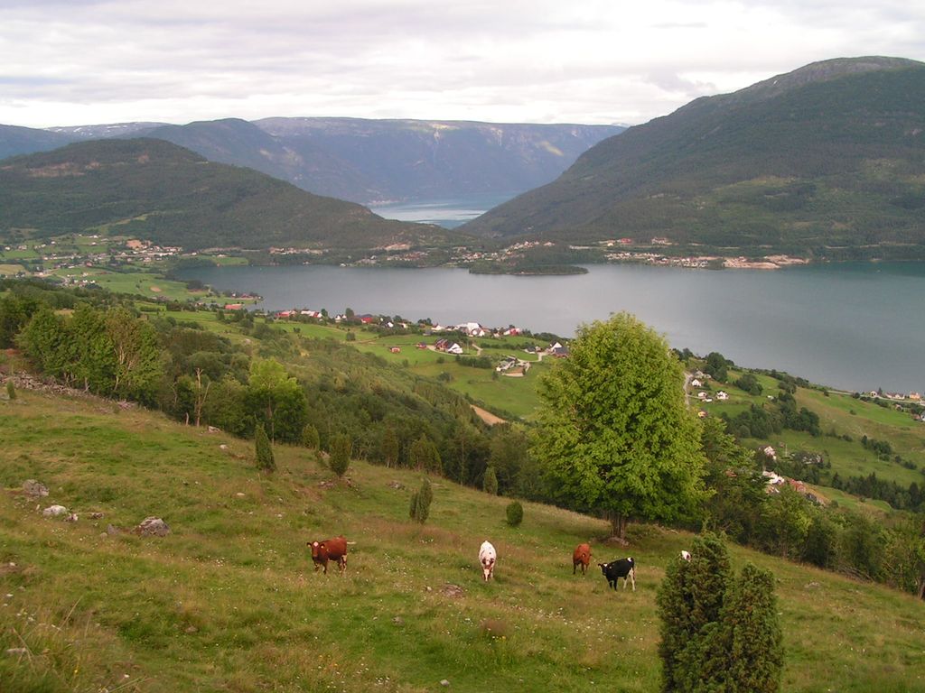 Photo №2 of Hafslovatnet