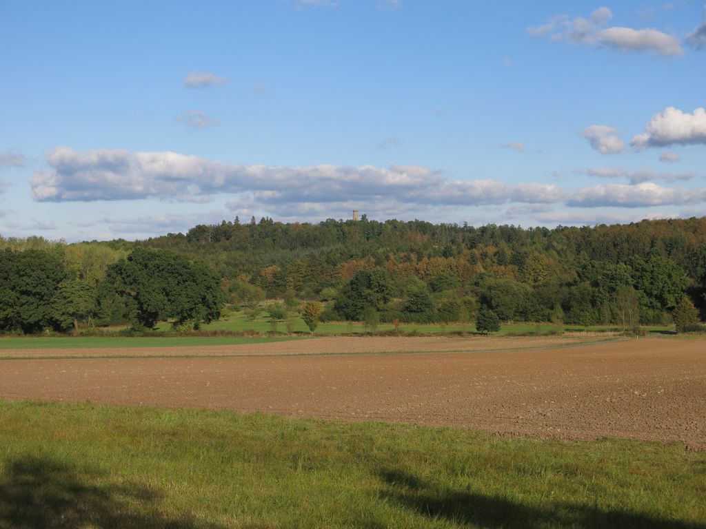 Photo №3 of Hainich