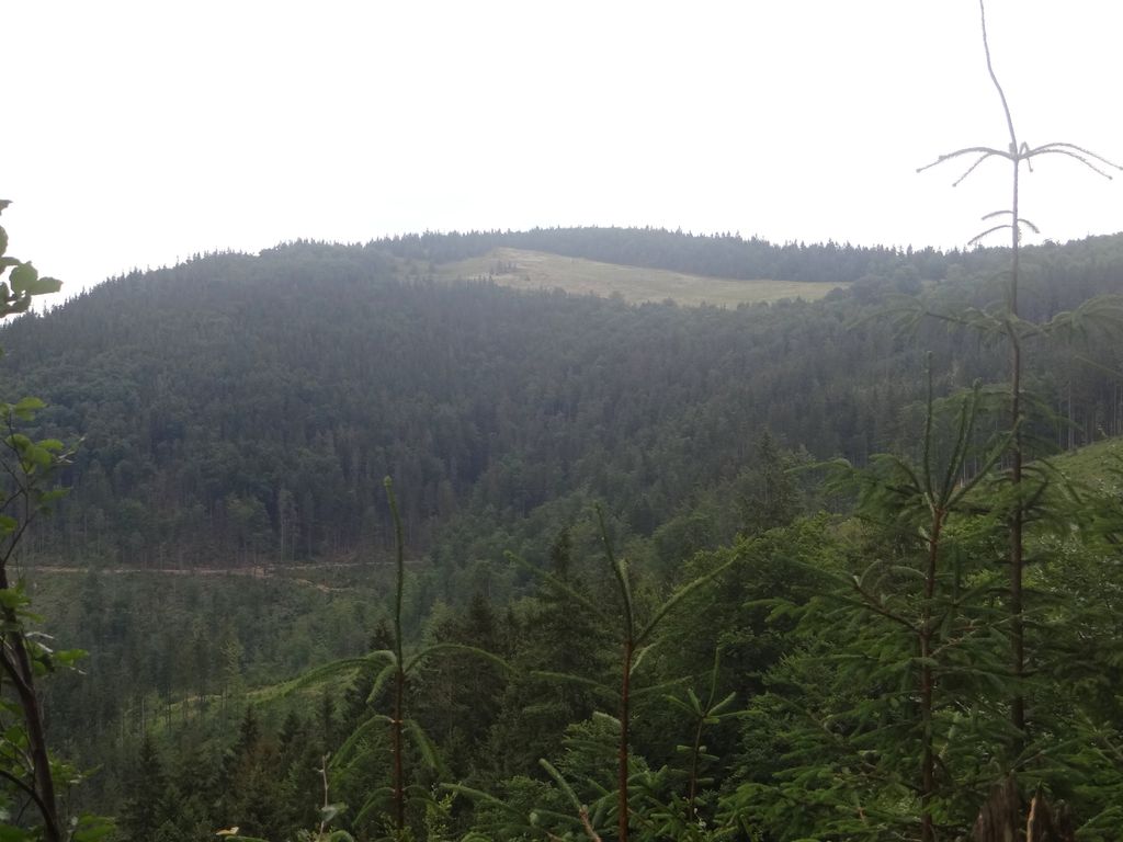 Photo №1 of Magurka