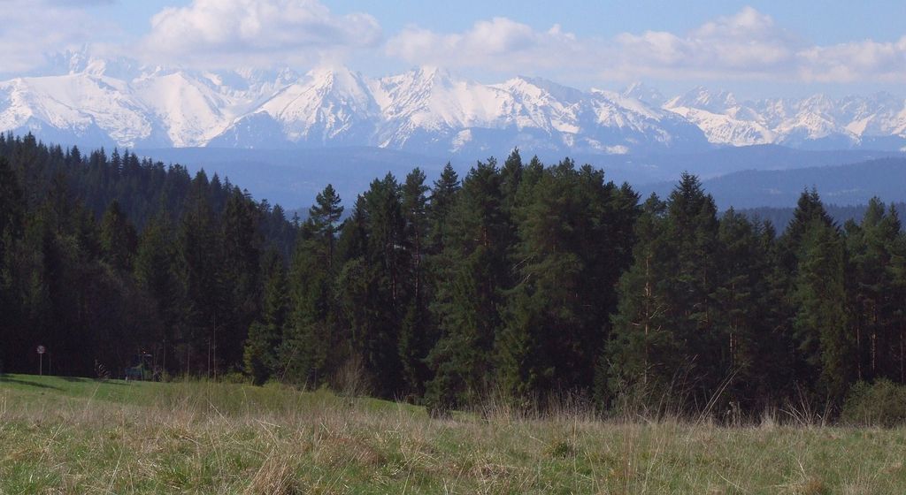 Photo №2 of Majerz