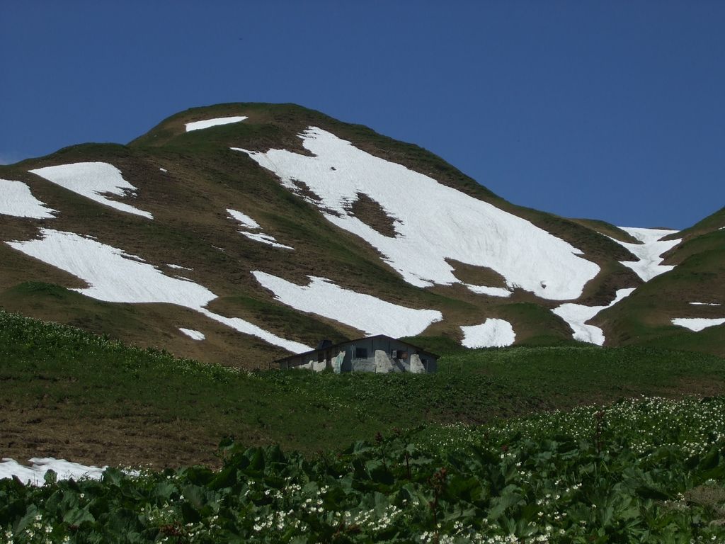 Photo №2 of Haldenwanger Kopf