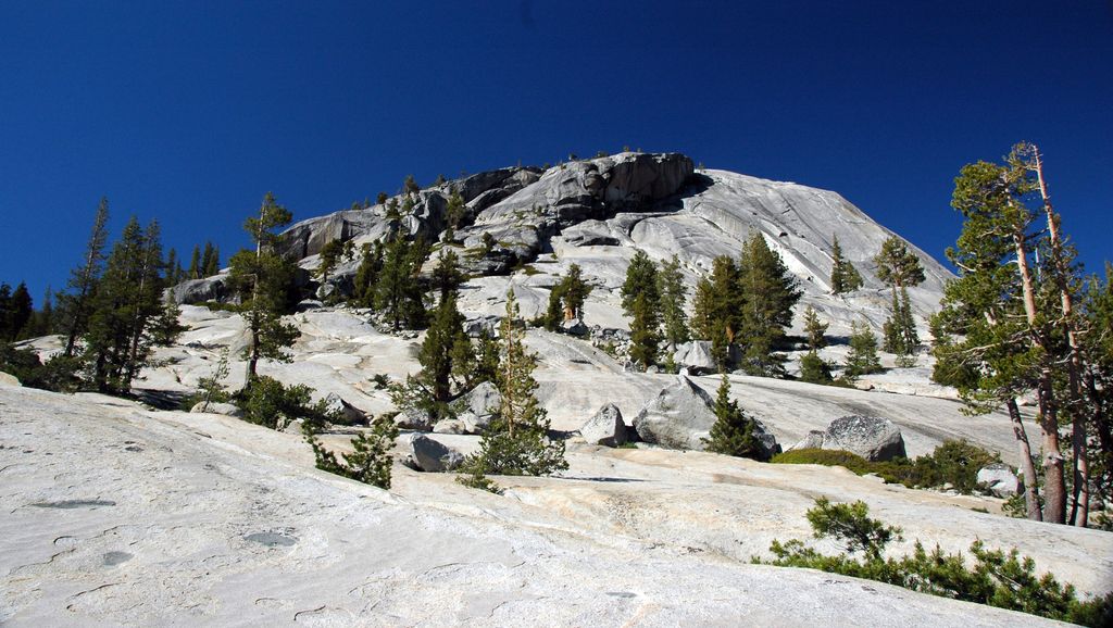 Photo №1 of Polly Dome