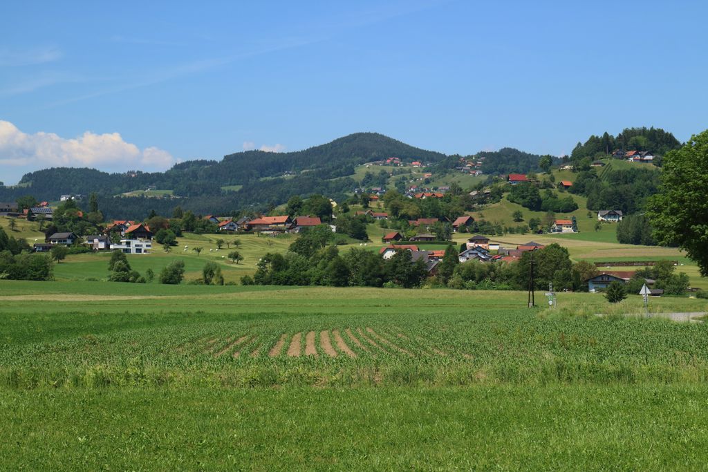 Photo №6 of Wartenstein